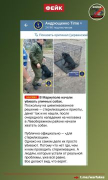 Фейк: В Мариуполе убивают бездомных собак