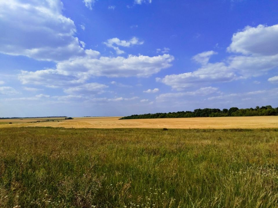 �������� �������: � ���������� �������� ��������������� �������������������� ������