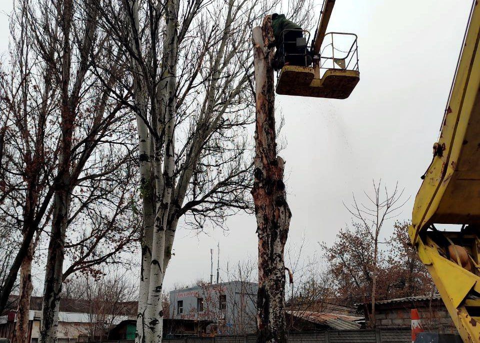 ���� ������: �������� �� ��������� ������, ����������� �������������� ����������� ������� ������������� � ������������ ������ ���������� �������� ������ �� ���������������