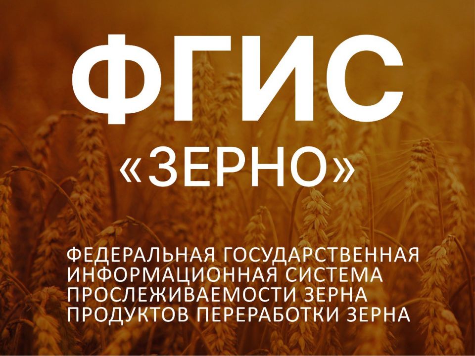���� ������ � ����������� ��������������� �������������� ������� ���������������� ����� � ��������� ��� �����������