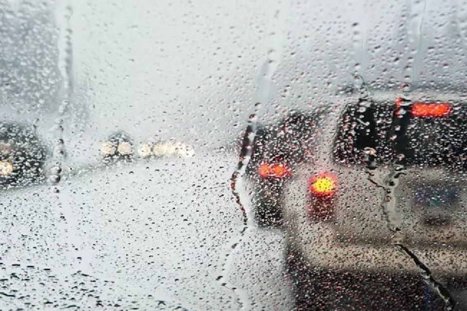 ��������� ����������: 19 ������. �������� ������� � �������� �������� ����������: 19 ������ �� ���������� ���������� �������, ����� � ����� ������� �����