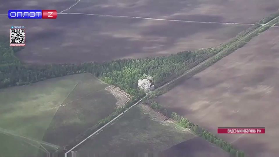 19-�� ������ ����������� ���� ���������� ��������� �������� ���� �������� ����� � ����������