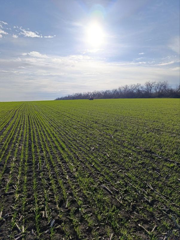 � ��� ���������������� ����� ��������������� ���������