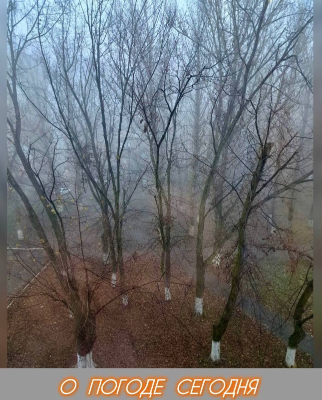 Александр Шатов: 19 ноября в Республике облачно, ожидаются дожди, сильный ветер