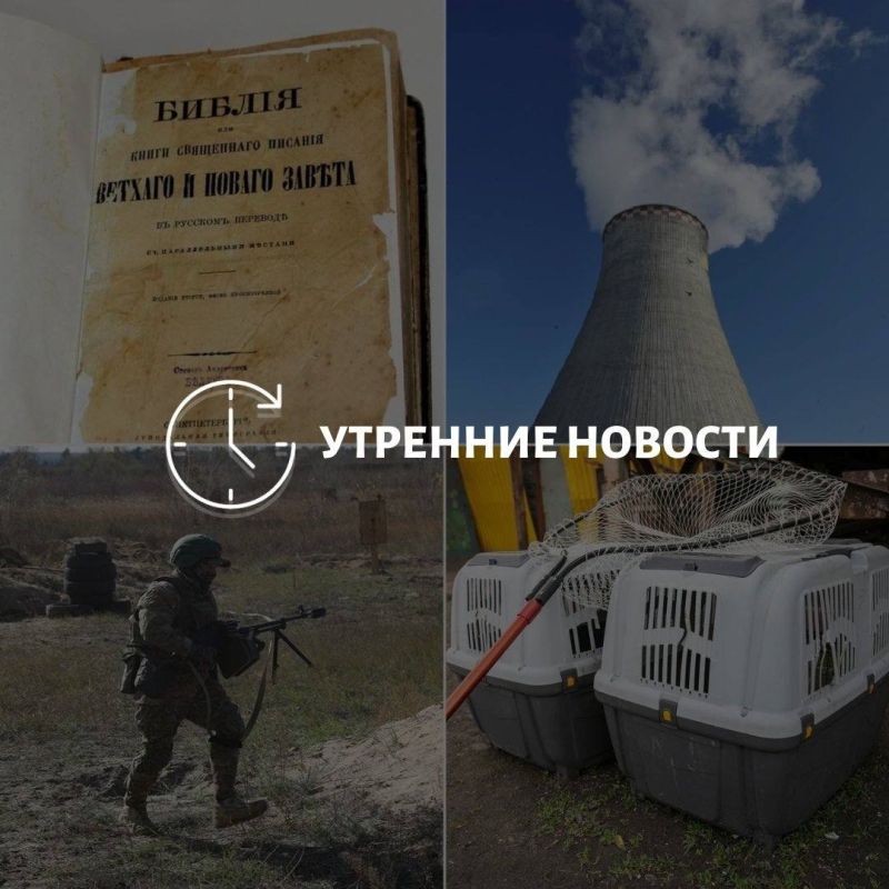 Главные новости в Донецке на этот час — что происходит в городе и республике: