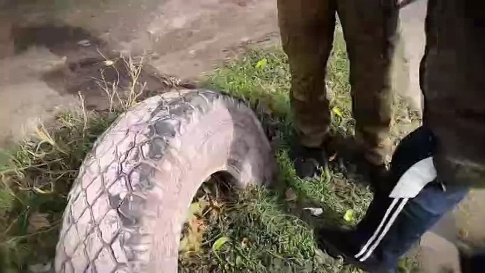 ������������ ���� ������ �� ��� �������� ������������� � ��������������� ������ � ���������� ����������������� ����