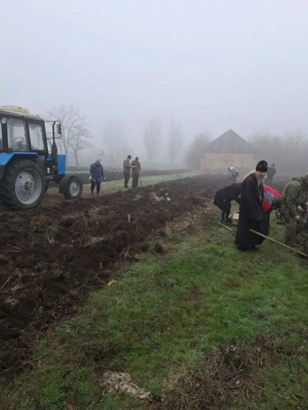 По инициативе ТОС "КЛЕНОВОЕ" под руководством Соловей Л.А., членов Партии "Единая Россия", жители п. Кленовка организовали высадку саженцев сосны в количестве 1700 штук