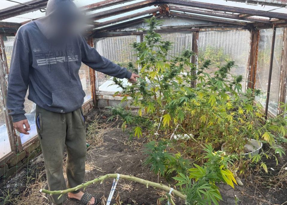 Более 18 кило каннабиса и 218 граммов пороха прятал в гараже житель Ясиноватой