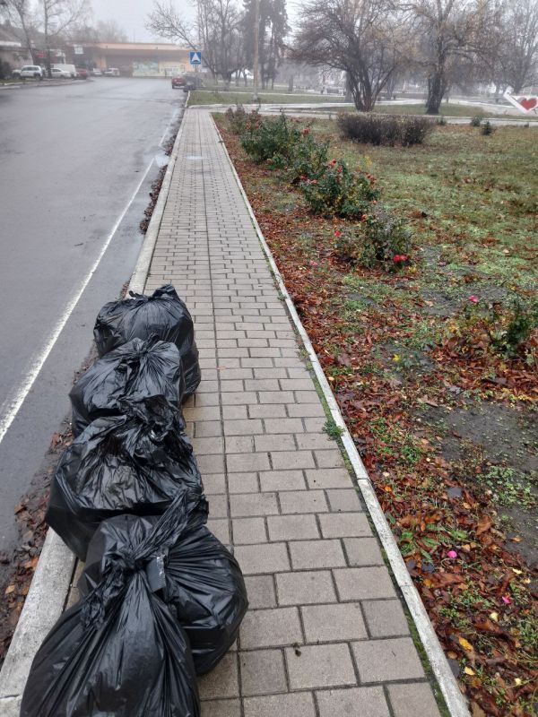 20 ноября в рамках партийного проекта «Чистая страна» на территории города Дебальцево состоялся экологический субботник по уборке территории Центральной площади города