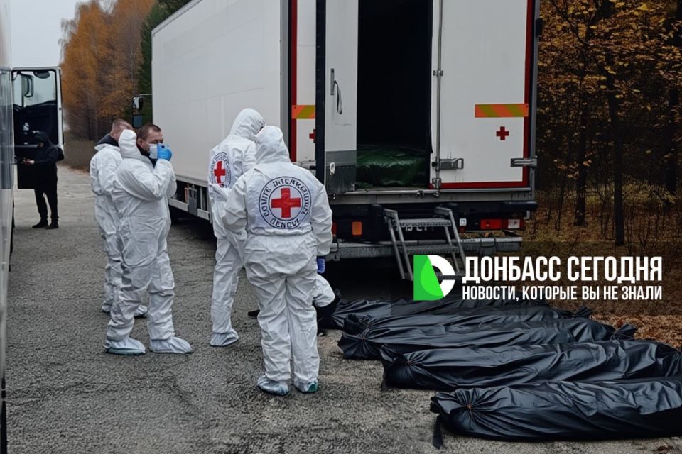 ����� ������ �1000 �� 30�: ��� �������� � ����� ������ ������ � �������