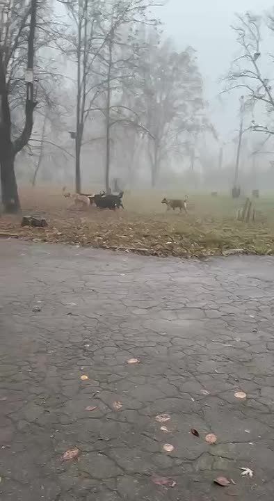 �������� ���� ����� �������� ���� ����� ����� � 125