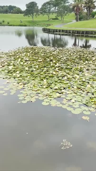 �������� ��� ��������� ���� �� ������ ����� �����