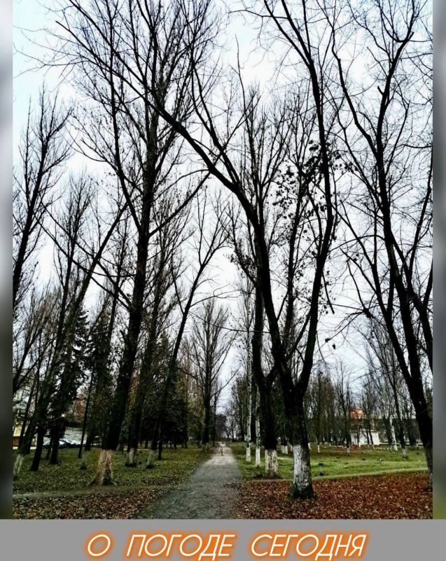 Александр Шатов: 21 ноября в Республике облачно с прояснениями, местами ожидаются небольшие дожди