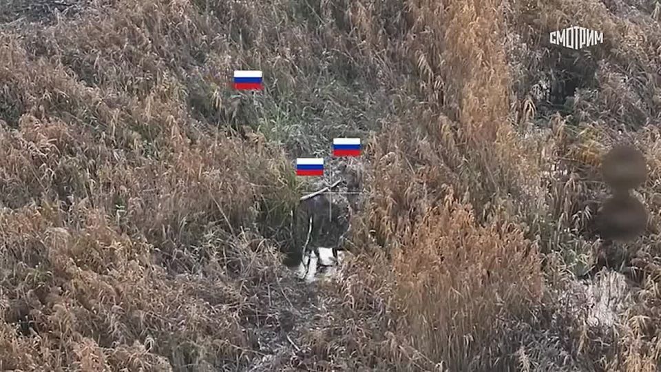 Кадры освобождения населенных пунктов Новоселовка, Ямполь и Ставки в ДНР показало Минобороны РФ