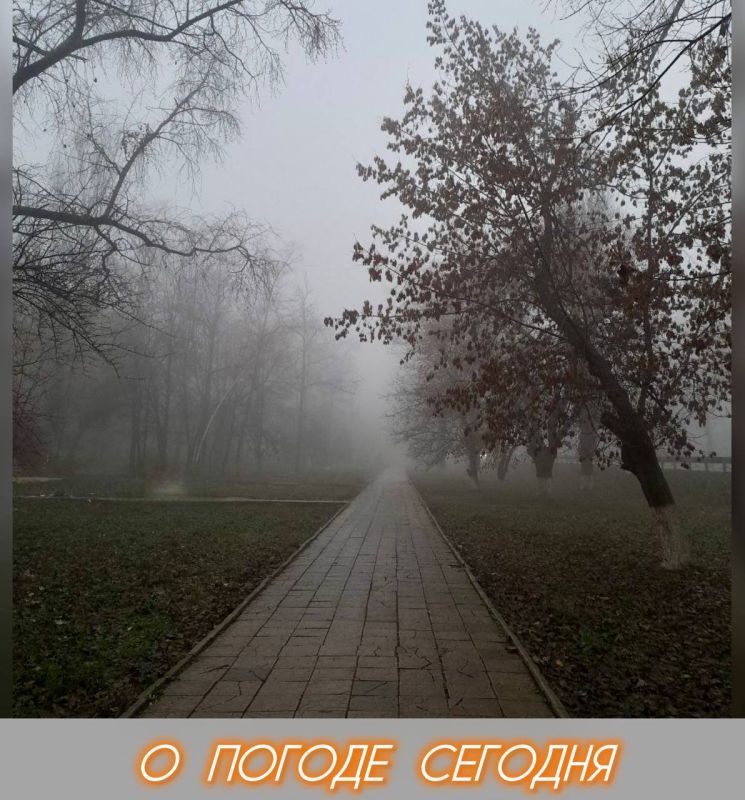 22 ноября в Республике облачно с прояснениями, осадки не ожидаются