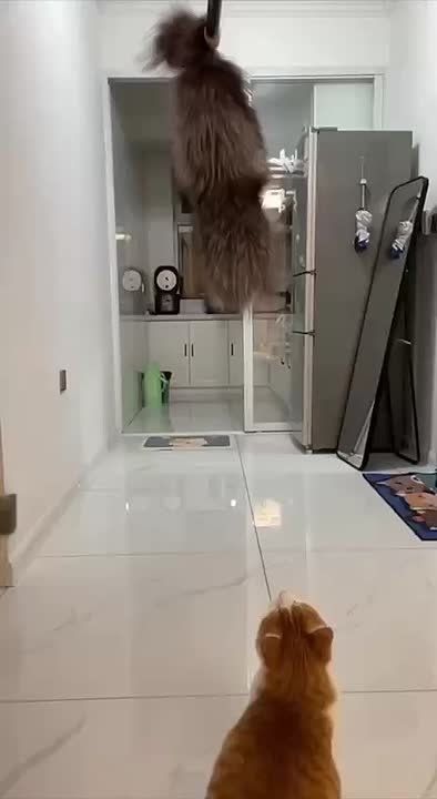 ����������: ��� ������� �������� ����