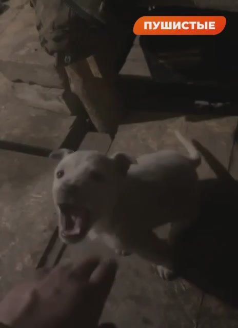������ ����� ������� ����� ����� �� ���������