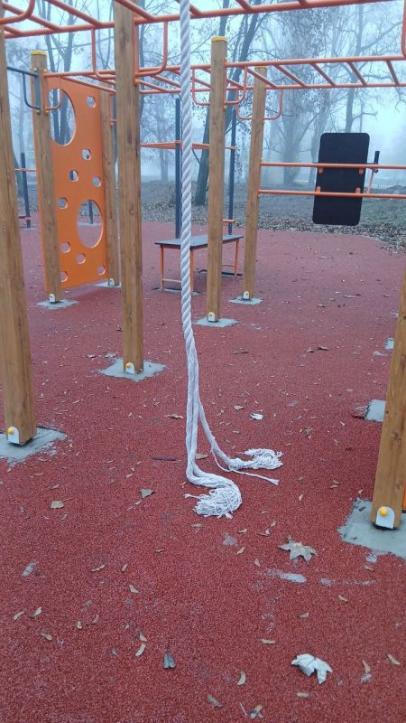 Александр Пеняев: Не прошло и недели, как мы открыли в новом парке «Машиностроитель» первые досуговые площадки для детей, спортсменов, владельцев домашних питомцев