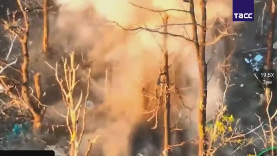 Владимир Разин: Уничтожение укрепленной позиции ВСУ на Покровском направлении