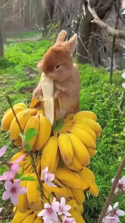 Доброе утро, Мариуполь!. Пусть этот день начнётся с хорошего настроения, доброй улыбки, вкусного завтрака и исполнения желаний