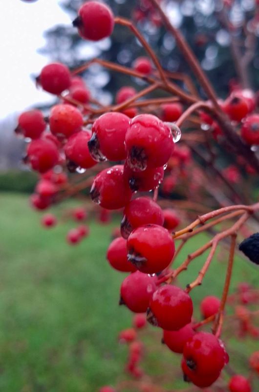 Александр Шатов: 23 ноября в Республике переменная облачность, без существенных осадков