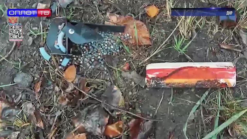 Главное на 12.30 от 24.11.2025