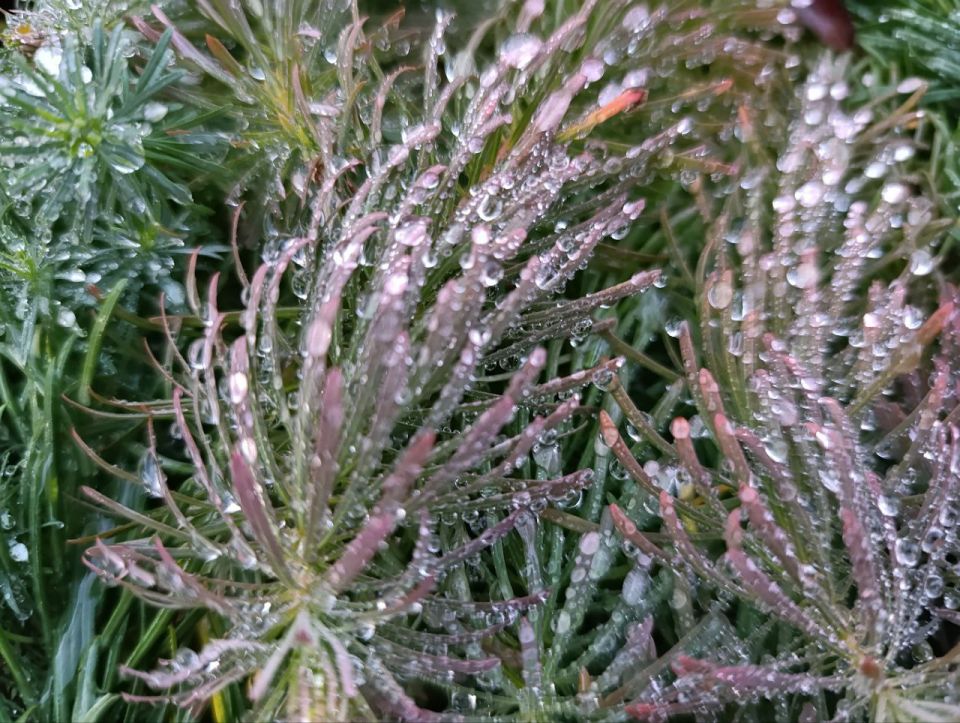 Доброе утро, Амвросиевский муниципальный округ!