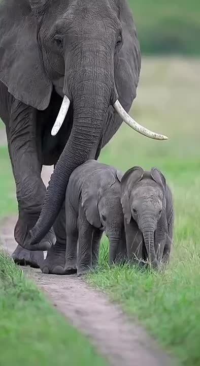 С добрым утром, Мариуполь!