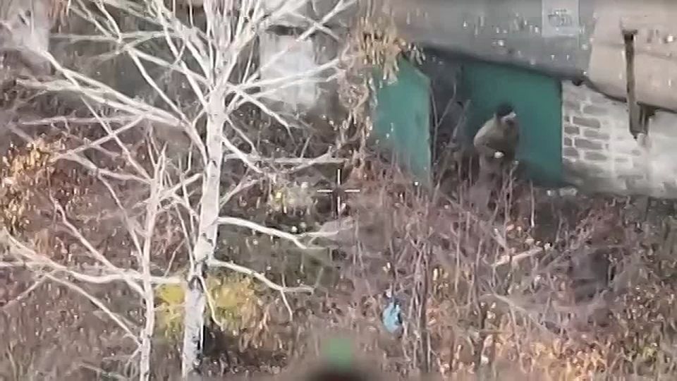 Уничтожение бегающих по Димитрову ВСУшников показало Минобороны