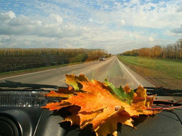 ��������� ����������: 24 ������. �������� ������� � �������� �������� ����������: 24 ������ �� ���������� ���������� �������, �����, ������� �������� �����.����������� ����������� ���������� �� 10�-13�