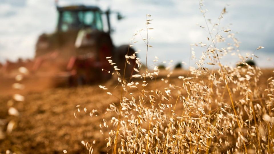 Мангушский округ определил вектор развития до 2044 года