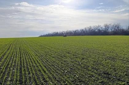 В Мангушском округе будут активно развивать сельское хозяйство