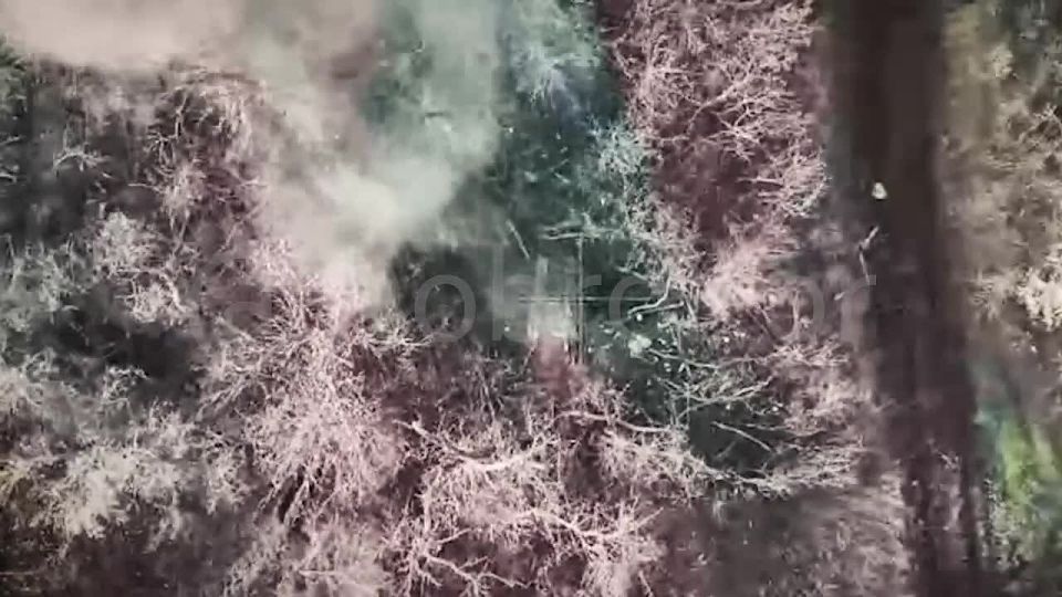 �������� ����� ������������ ��������� ������� �� �������� �����������!