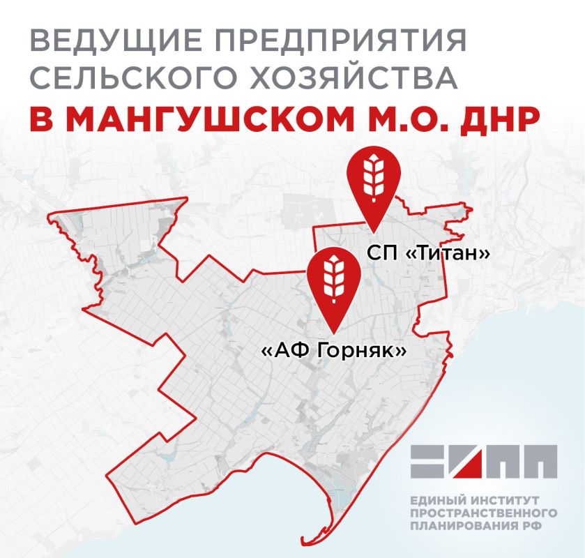 В Мангушском муниципальном округе ДНР будут активно развивать сельское хозяйство
