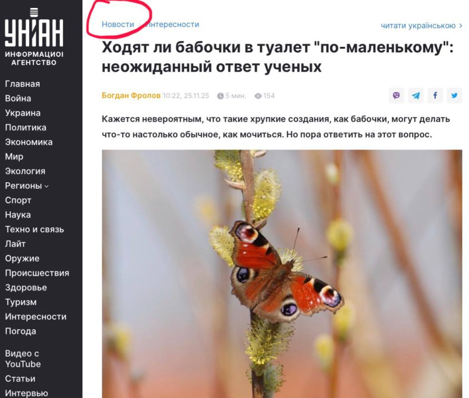 Владимир Корнилов: Похоже, на Украине дела совсем плохи, раз в разделе «Новости» их пропагандистское агентство УНИАН приводит сенсационную информацию: «Ходят ли бабочки в туалет «по-маленькому: неожиданный ответ ученых… Пора...