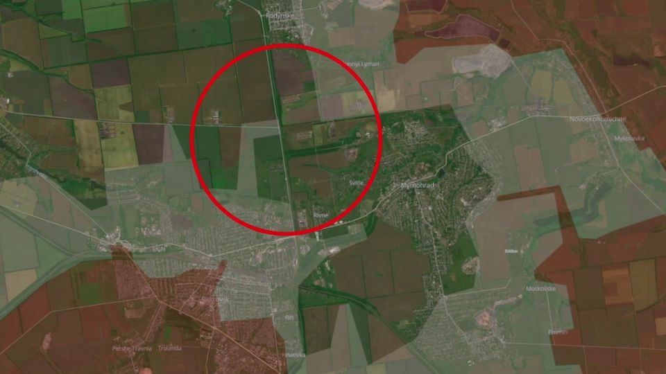    DeepState ,  ,    ,   -   