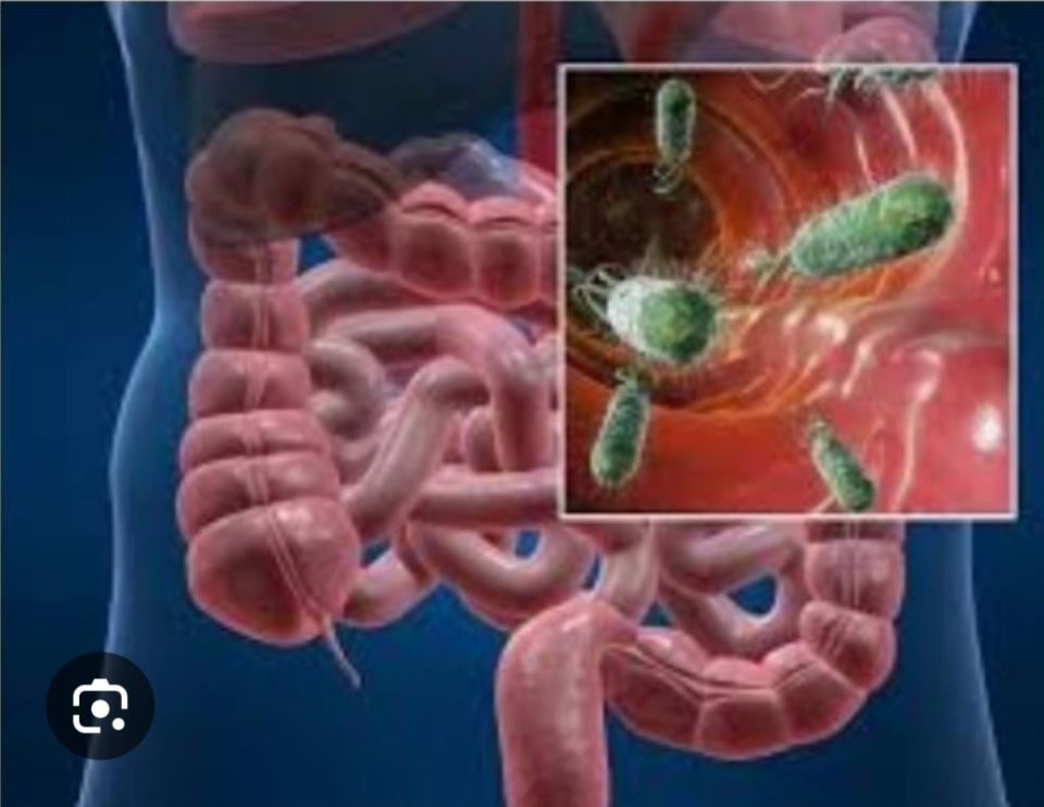 Что представляют собой инфекции кишечника, и какие категории людей наиболее уязвимы