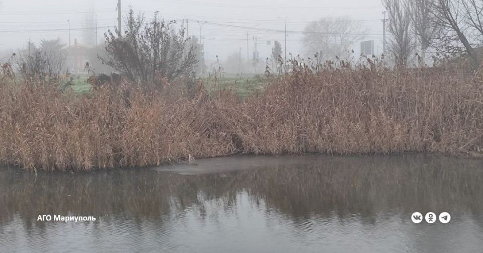 ������������� ������� ������� ����� ���� �� ������� ���� �������