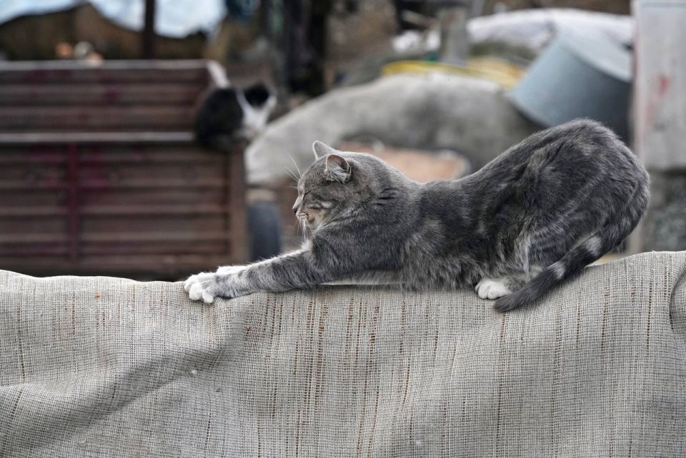 ��������� �������, ��������������� �������� � ������� ������ �� �������: ������������ ������ ��� � ���������