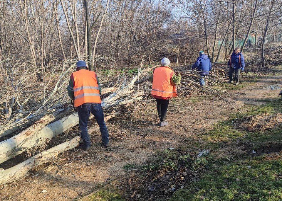 ���� ������: ����������� �������������� ����������� ������� ������������� � ������������ ������ ���������� �������� ������ �� ���������������