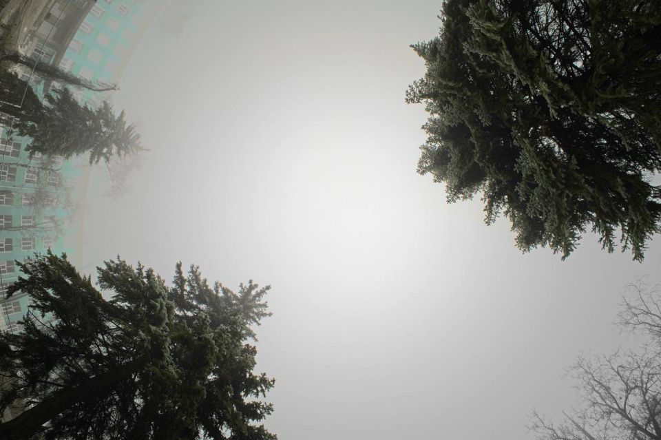 ���� ���������� � ������ � ��������� � �����������, �� ��� �������� �������������� ���