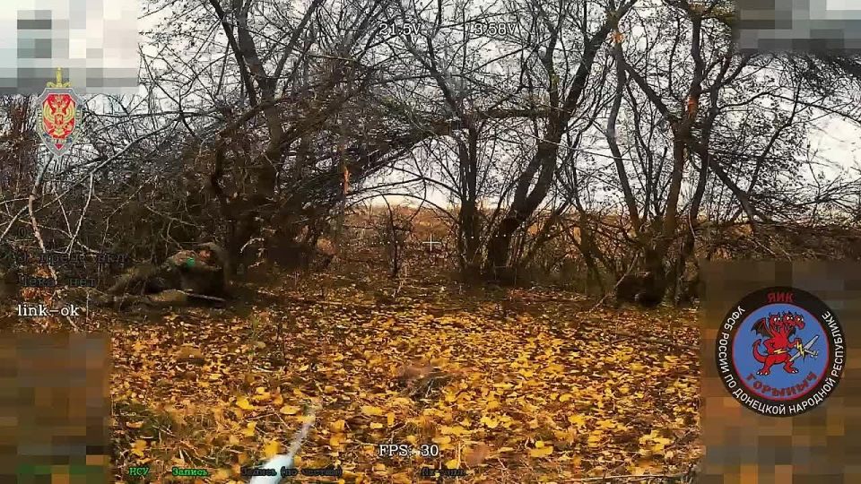    &quot;&quot;       4        ,    