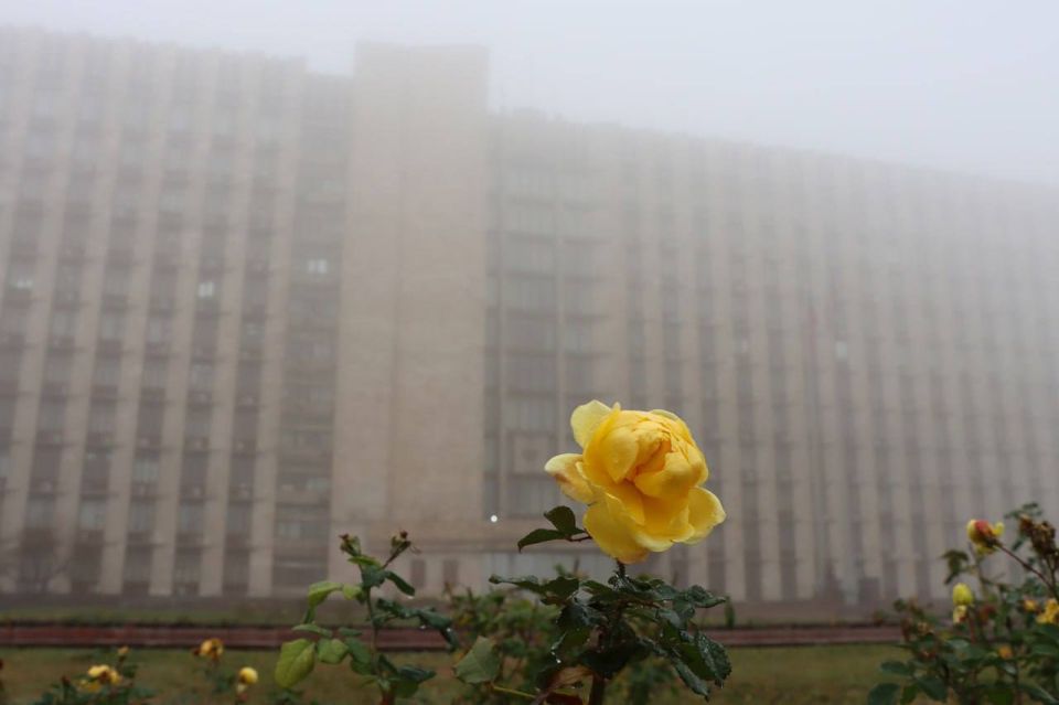 Андрей Чертков: Провел очередное заседание Правительства