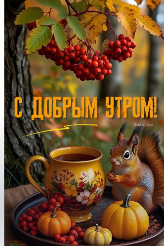 #доброе_утро