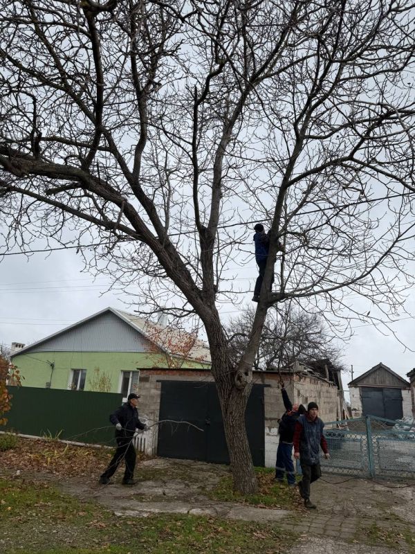 Сергей Юзвинкевич: На территории Володарского муниципального округа округа исходя из ранее данных поручений Главы Донецкой Народной Республики Дениса Владимировича Пушилина продолжается спил и кронирование аварийных...