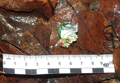 По подозрению в незаконном обороте наркотиков транспортные полицейские Перми задержали 33-летнего местного жителя