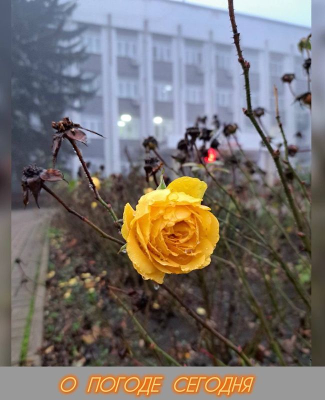 Александр Шатов: 28 ноября в Республике переменная облачность, без существенных осадков