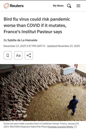 Пандемию, более опасную, чем COVID-19, может вызвать вирус птичьего гриппа: Reuters
