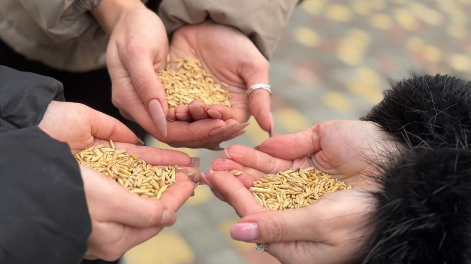  :    .                 &quot; N6  &quot;     ...