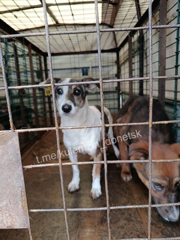  :         II       ,      300 